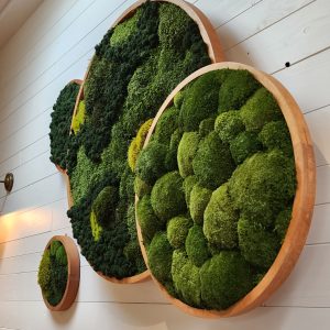 Muurdecoratie