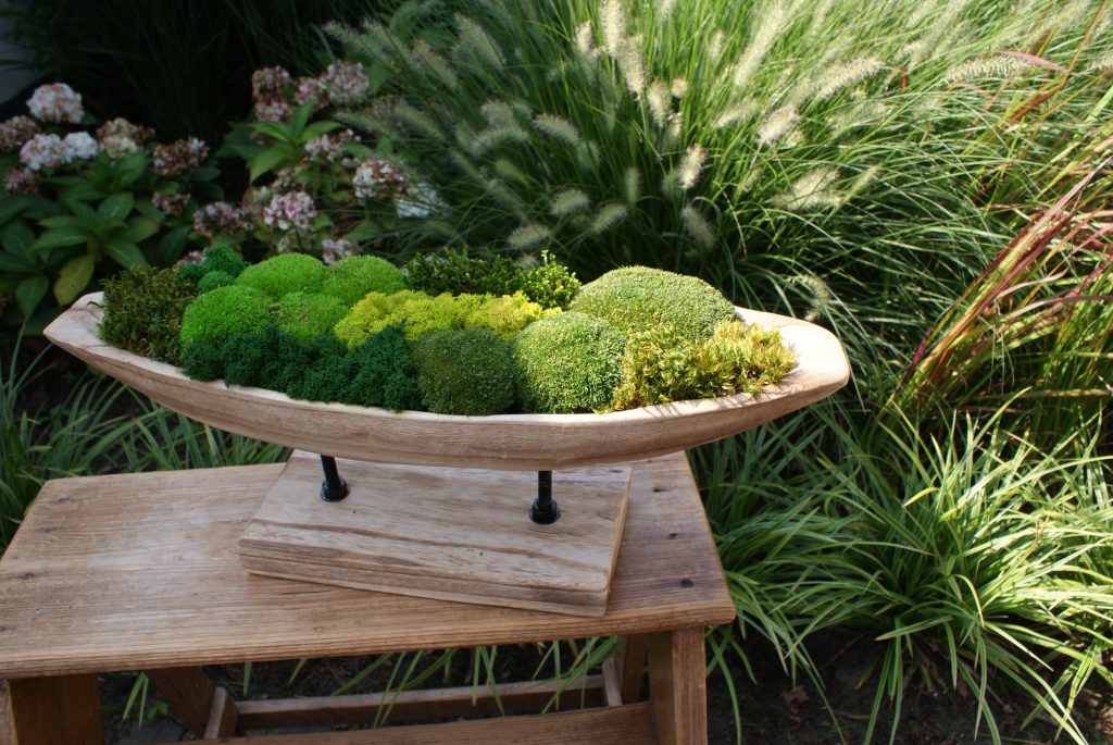 Houten schaal met diverse soorten groen mos – kunstwerk Verdant Serenity als natuurlijke en rustgevende woondecoratie.