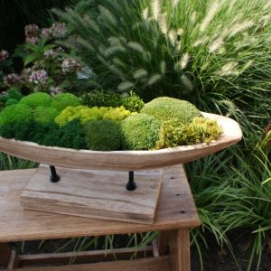 Houten schaal met diverse soorten groen mos – kunstwerk Verdant Serenity als natuurlijke en rustgevende woondecoratie.