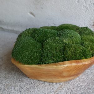 Kunstwerk van mos in houten schalen, bestaande uit twee tinten groen - Emerald Oasis.