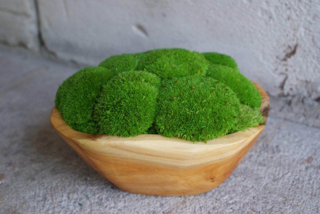 Kunstwerk van mos in houten schalen, bestaande uit twee tinten groen - Emerald Oasis.