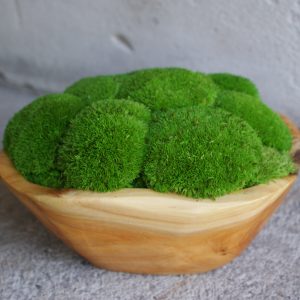 Kunstwerk van mos in houten schalen, bestaande uit twee tinten groen - Emerald Oasis.
