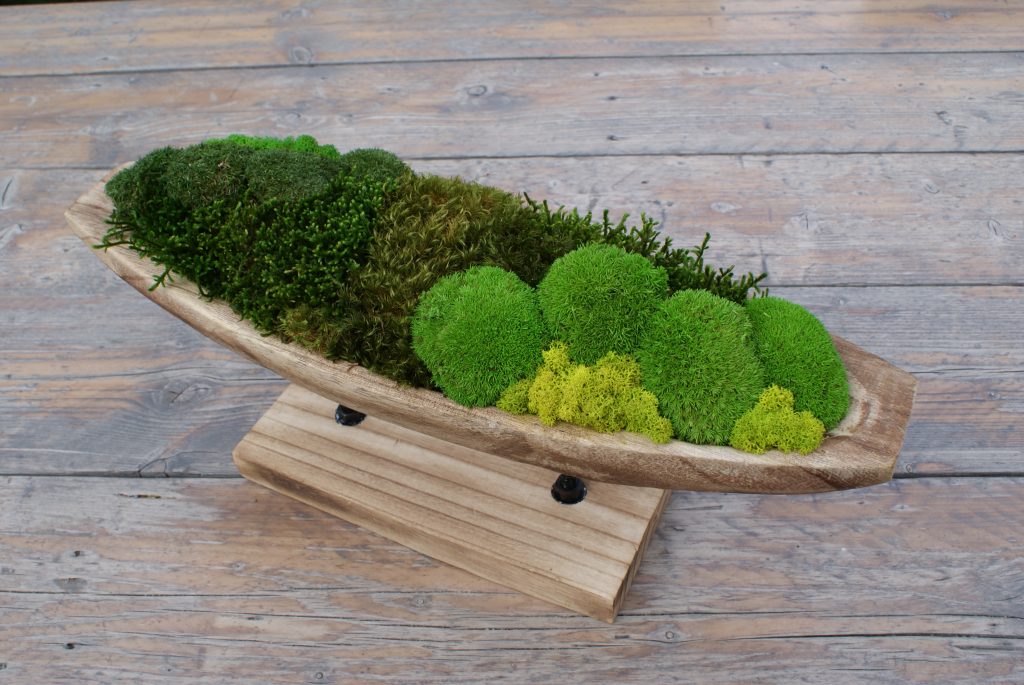Houten schaal met diverse soorten groen mos – kunstwerk Verdant Serenity als natuurlijke en rustgevende woondecoratie.