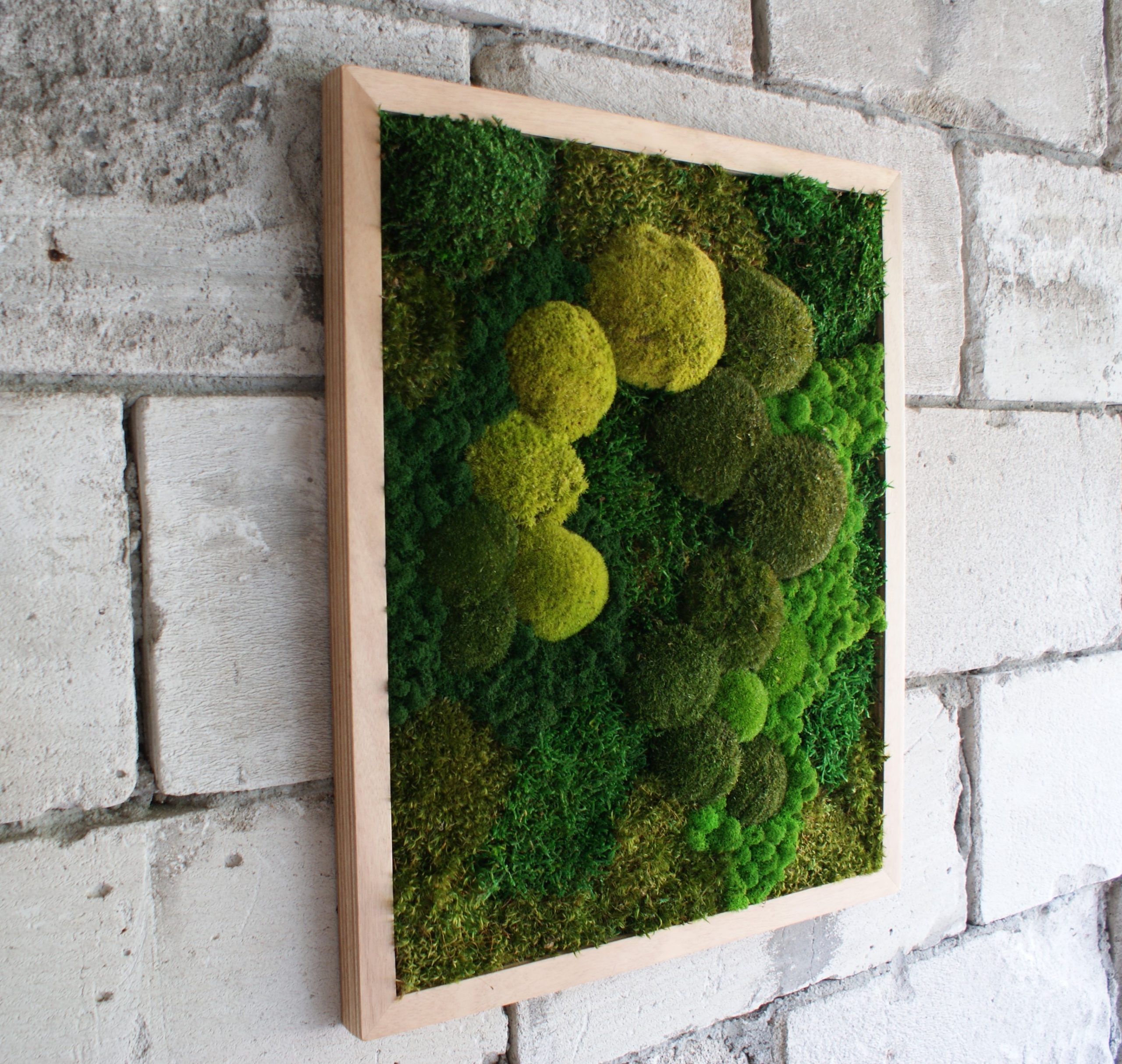 Moss Cascade - Afbeelding 2