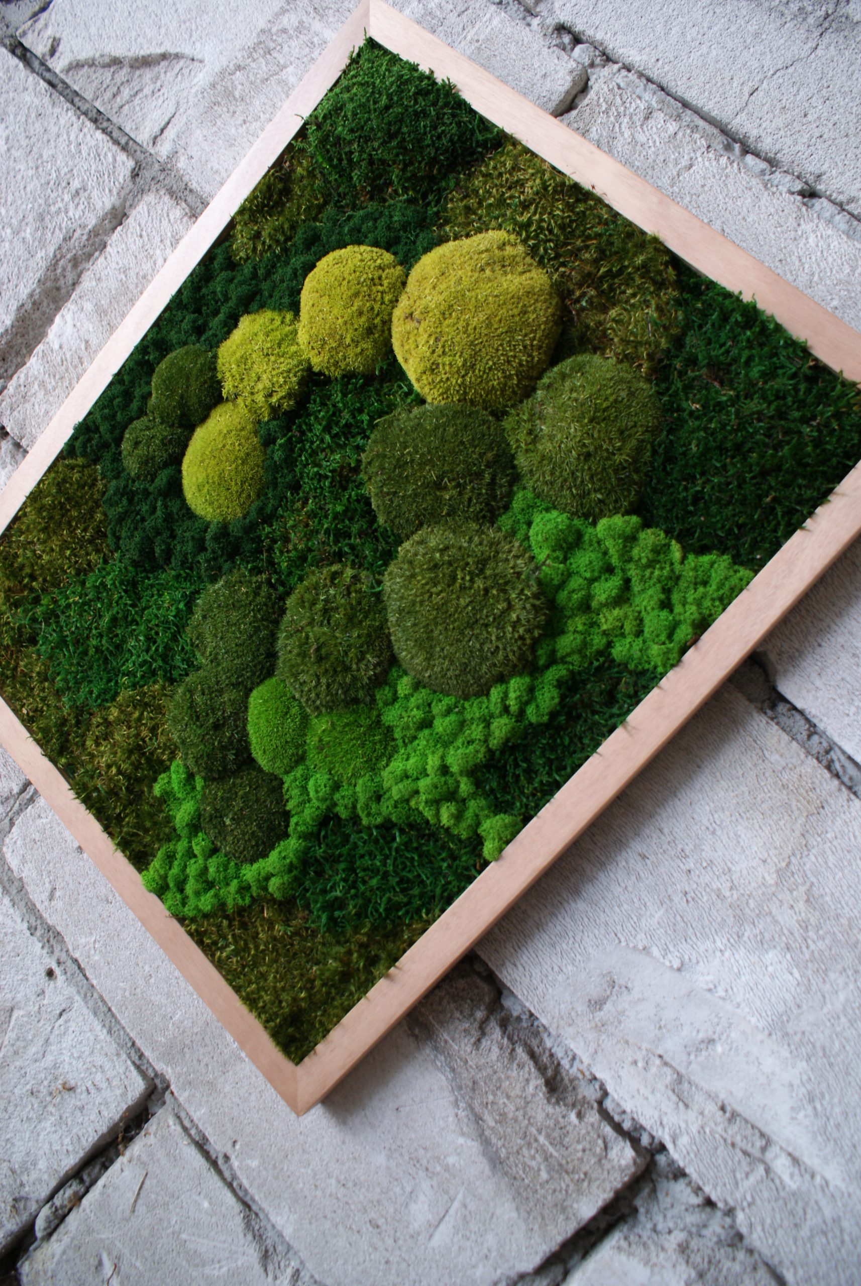 Moss Cascade - Afbeelding 3