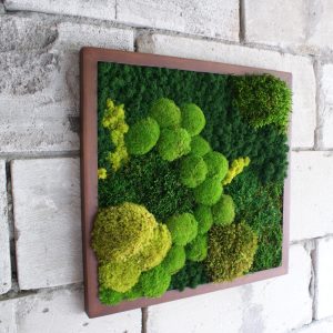 Mossy Meadow
