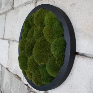 Circle of Serenity