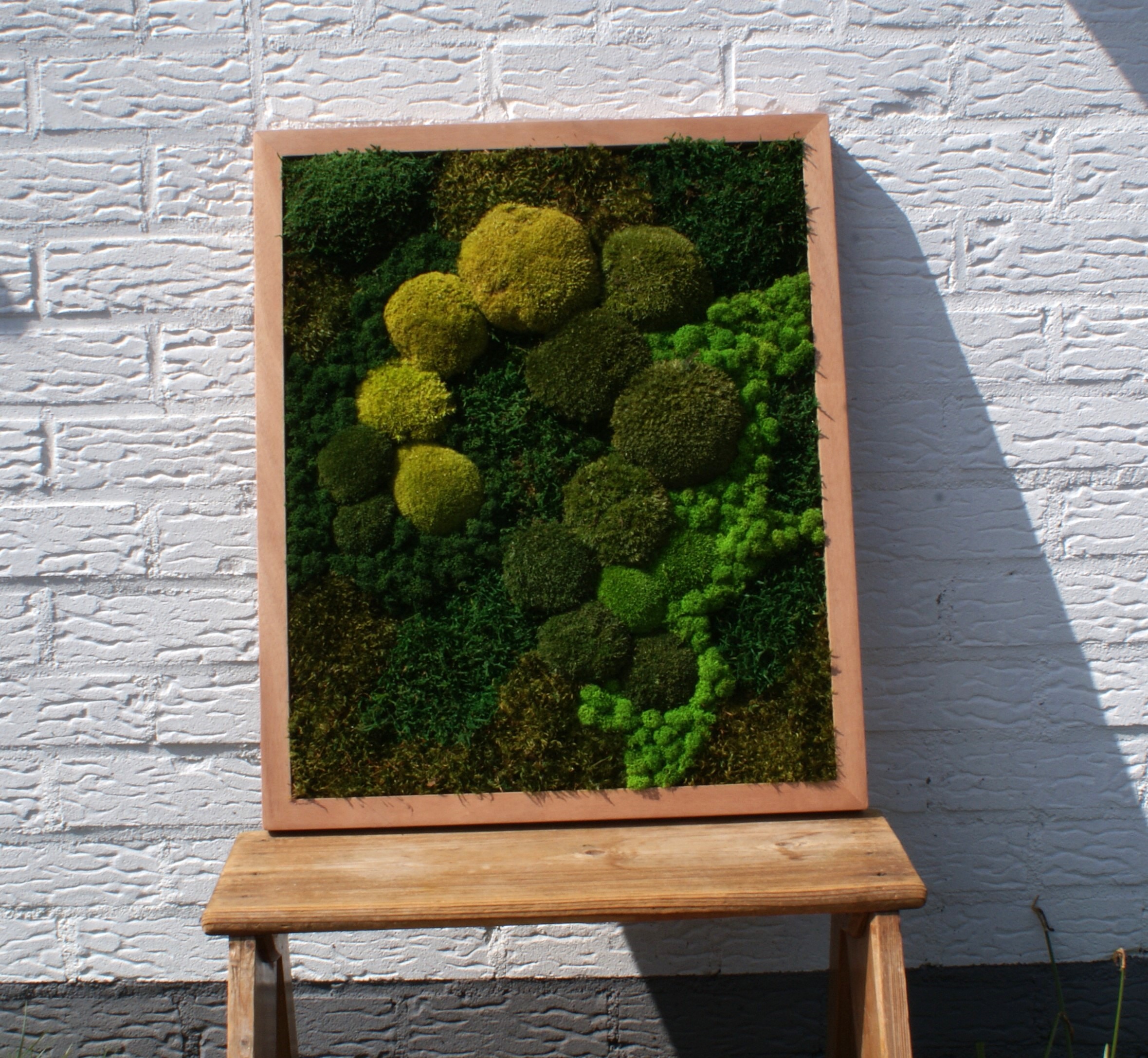 Kunstwerk van mos met vier verschillende soorten mos in houten lijst van 50 x 60 cm, aan de muur als natuurlijke wanddecoratie.