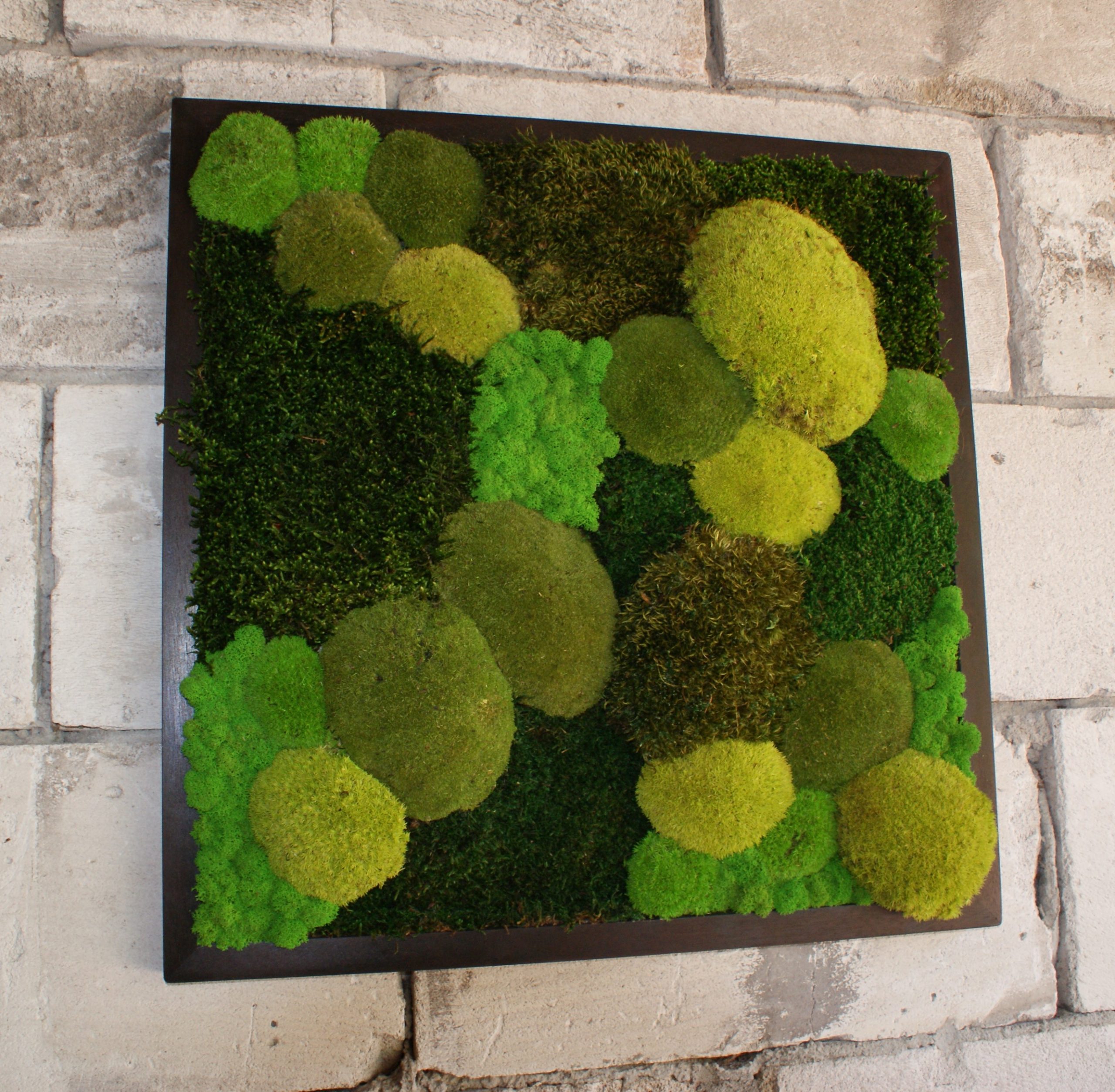 Forest Dream - Afbeelding 4