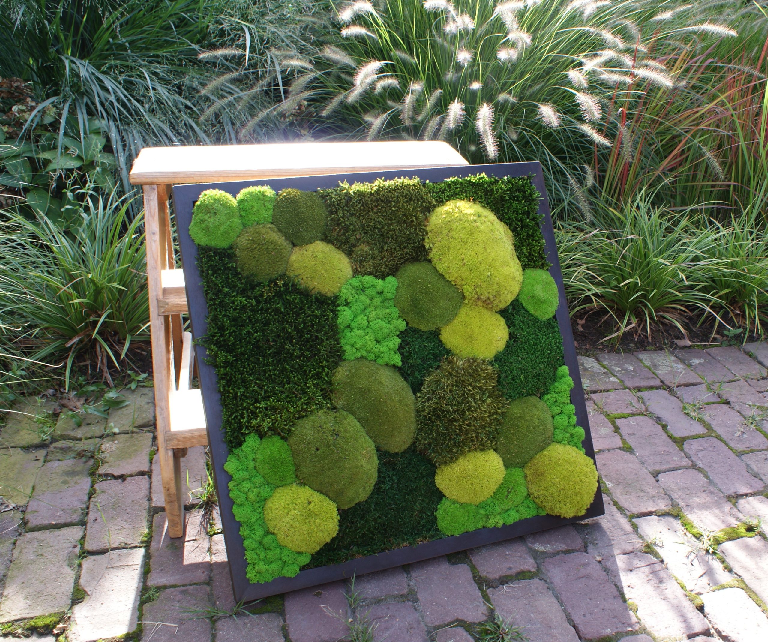 Forest Dream - Afbeelding 10