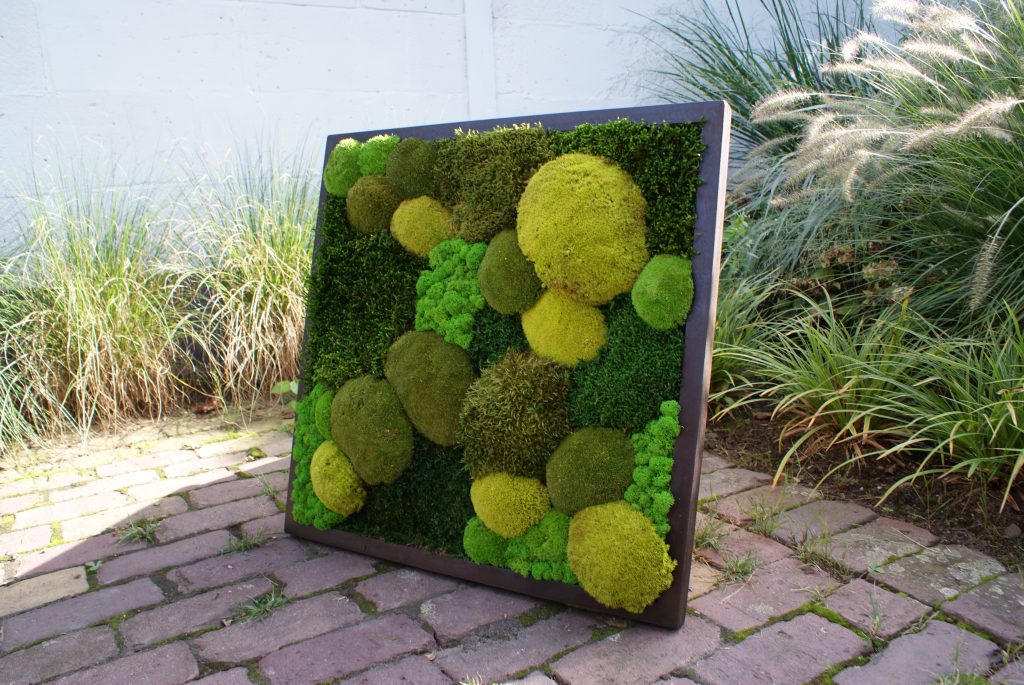 Vierkant kunstwerk van mos, Forest Dream 60 x 60 cm met diverse groene mossoorten, gefotografeerd in natuurlijke setting.