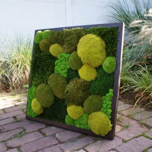 Vierkant kunstwerk van mos, Forest Dream 60 x 60 cm met diverse groene mossoorten, gefotografeerd in natuurlijke setting.