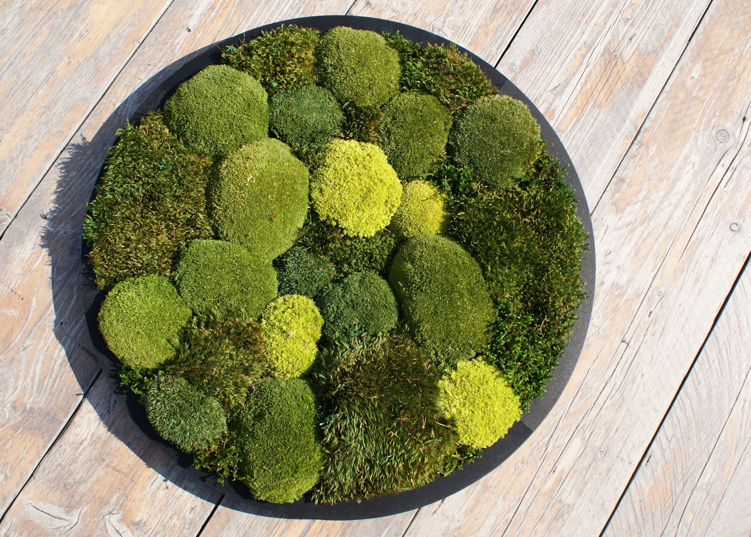 Circle of Green Oasis - Afbeelding 7