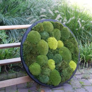 Kunstwerk van mos in rond frame . Circle of Green Oasis 60 cm, met verschillende tinten en structuren mos.