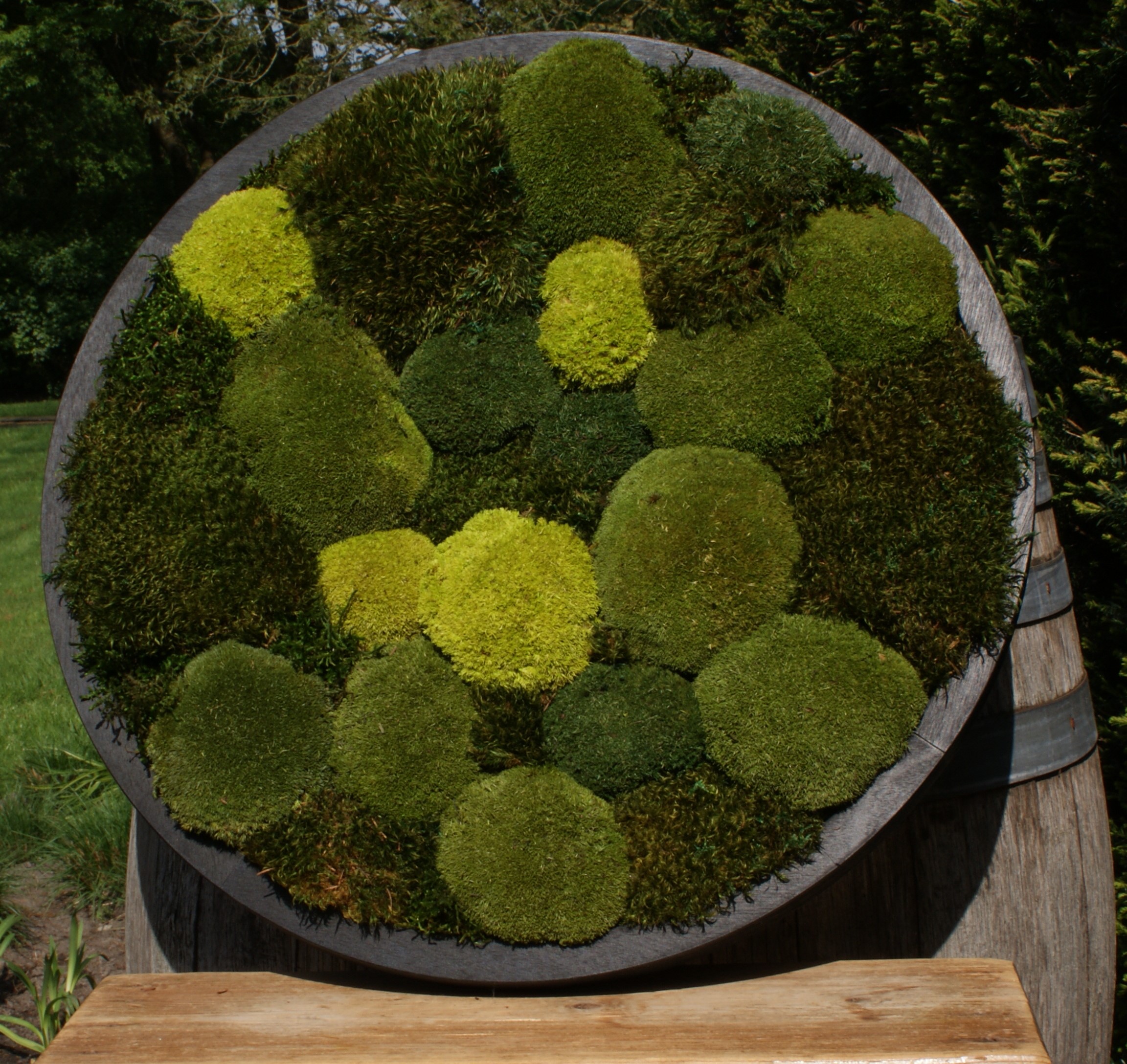 Circle of Green Oasis - Afbeelding 2