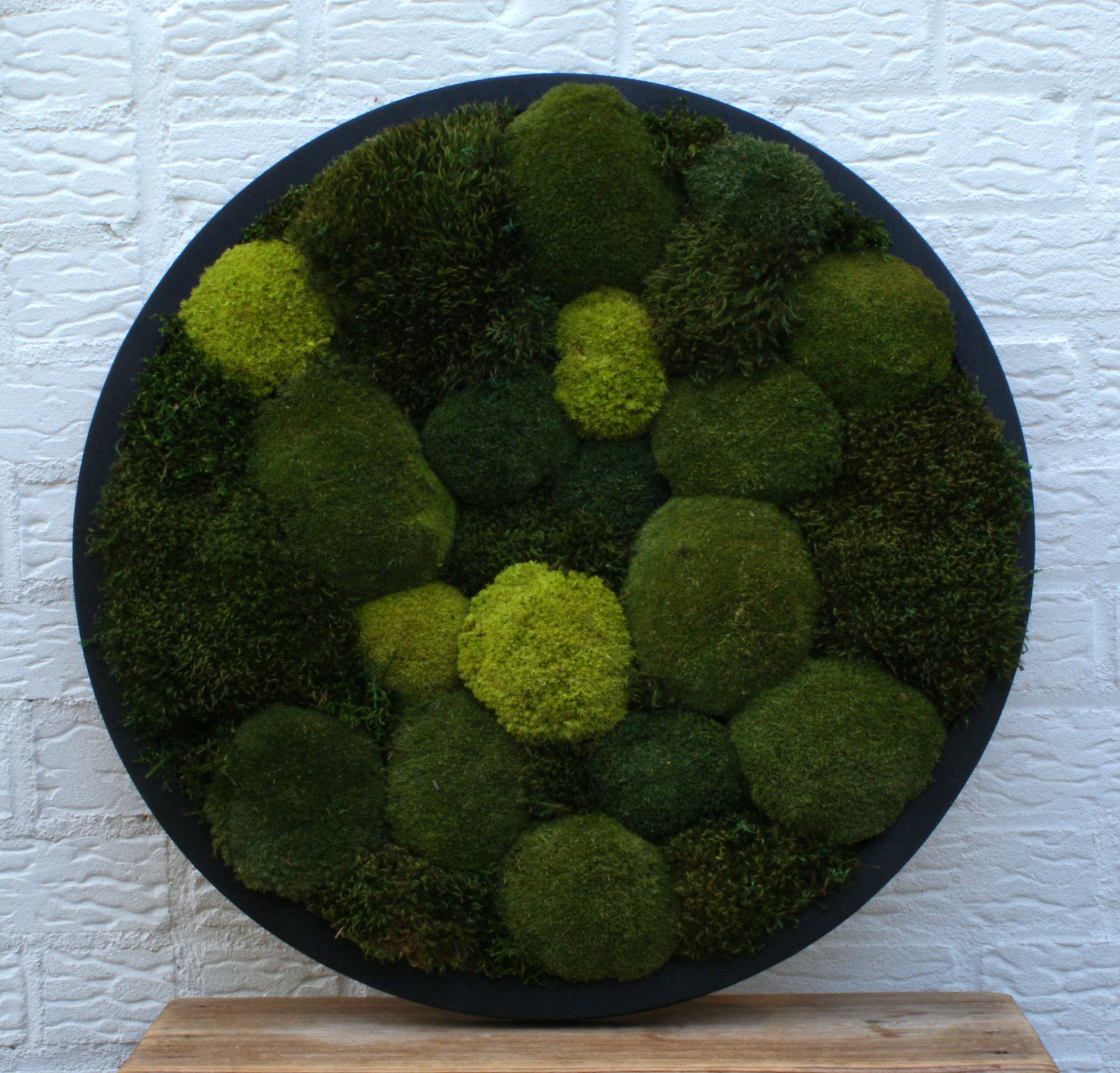 Circle of Green Oasis - Afbeelding 4