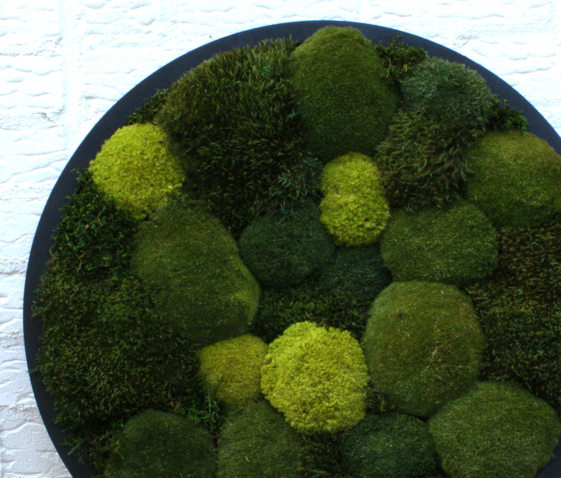 Circle of Green Oasis - Afbeelding 5