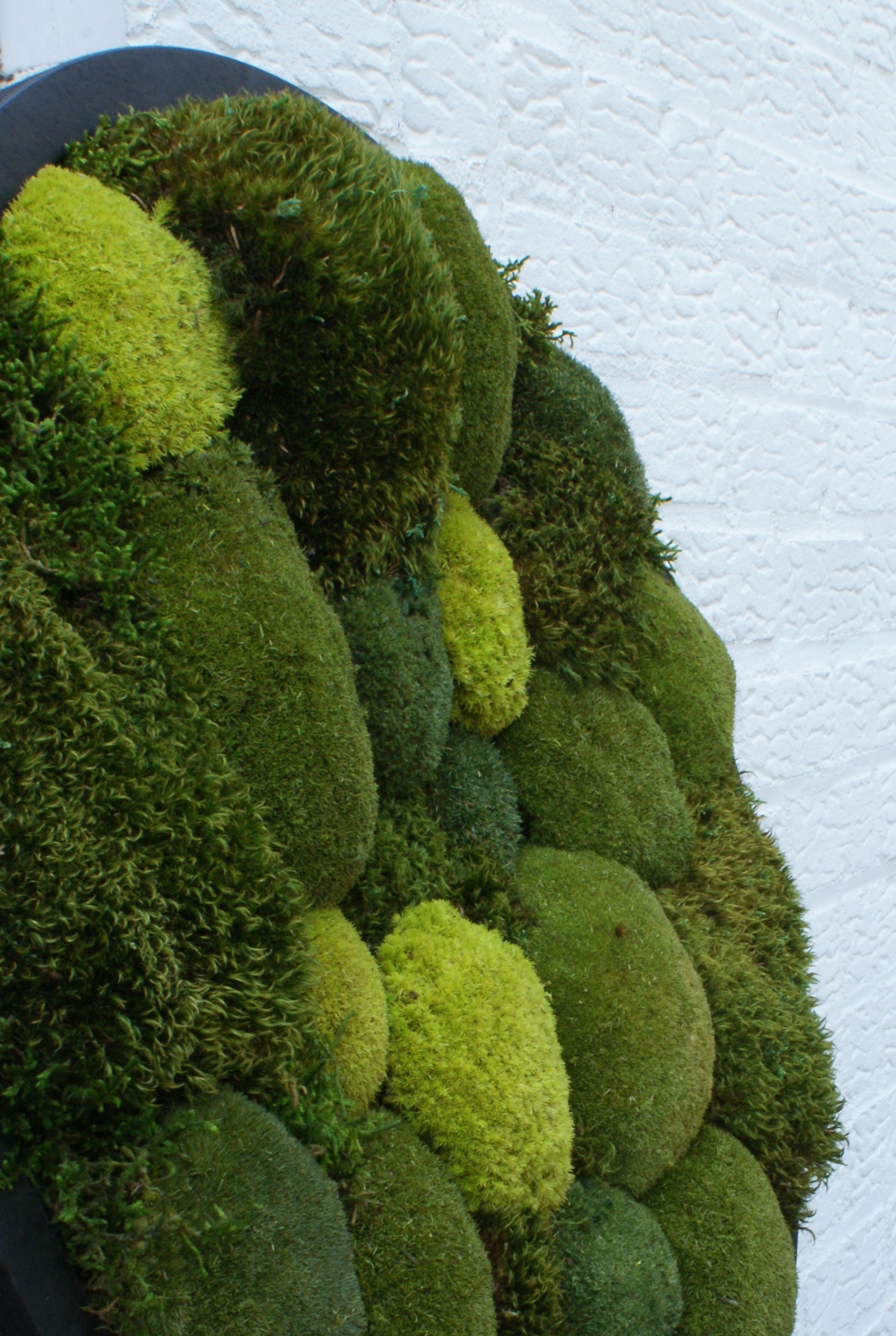 Circle of Green Oasis - Afbeelding 6