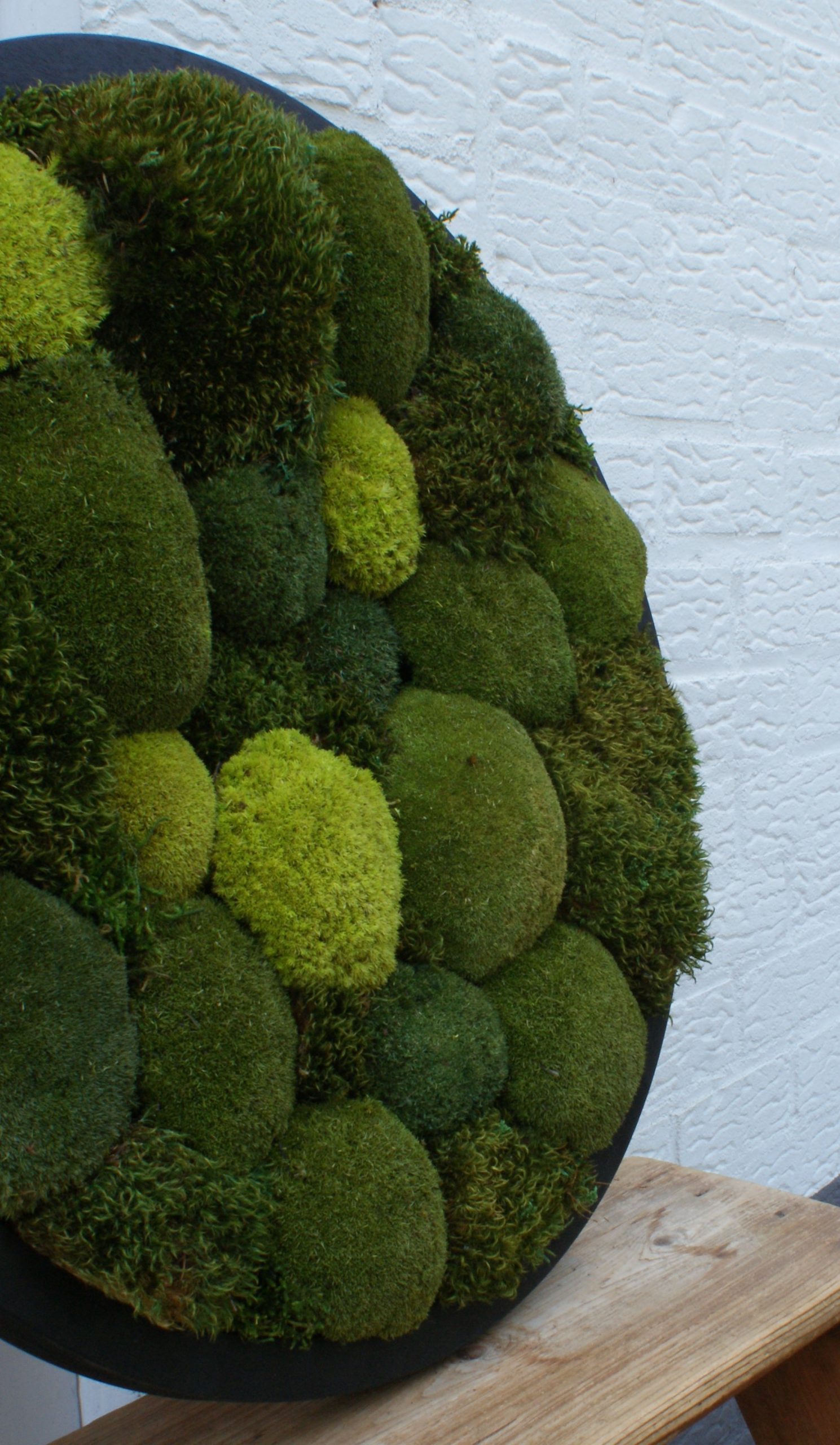Circle of Green Oasis - Afbeelding 3