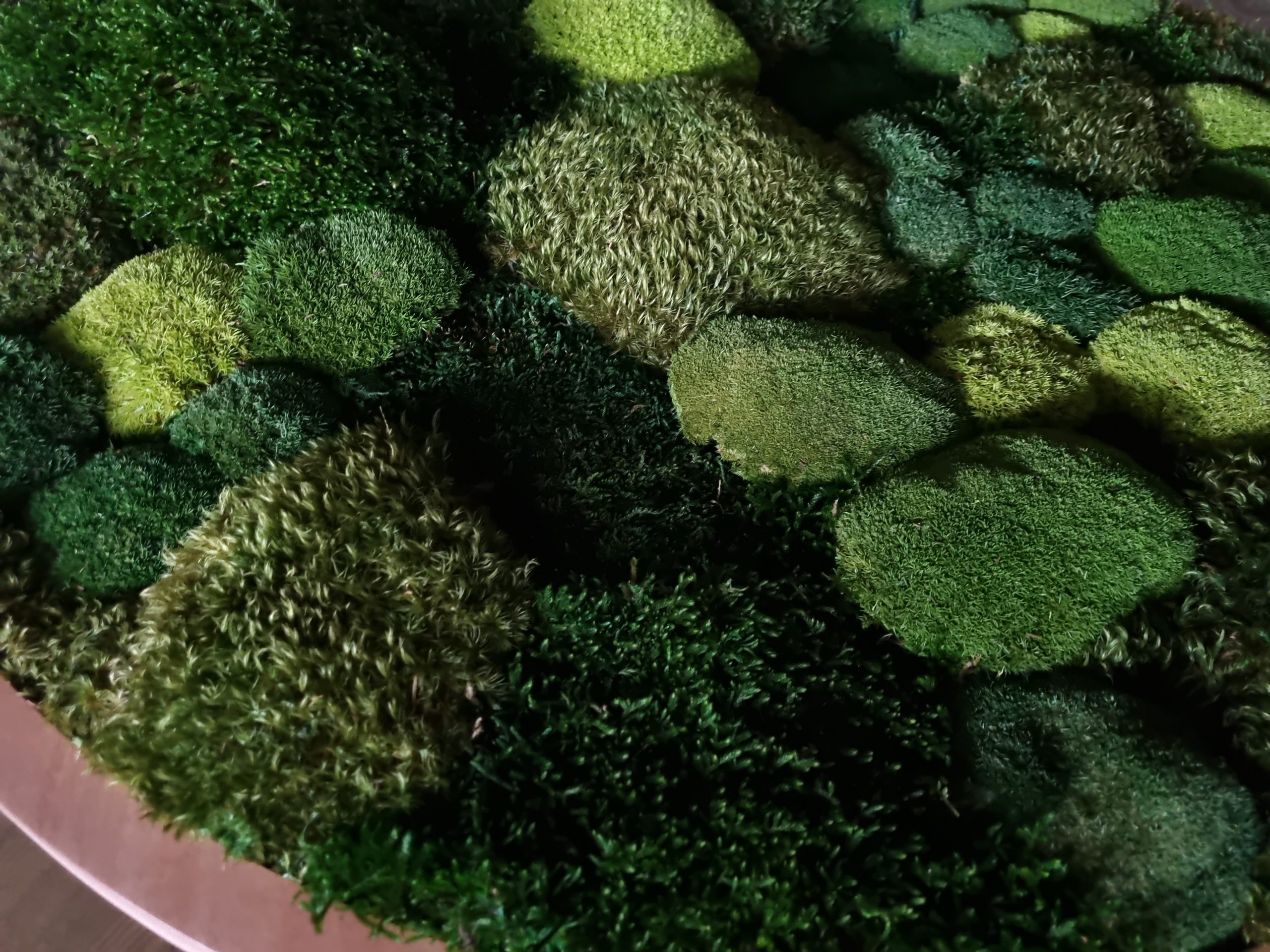 Green Giant - Afbeelding 2