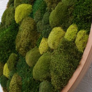 Green Giant: een rond kunstwerk van mos van 90 cm met diverse groentinten en natuurlijke texturen.
