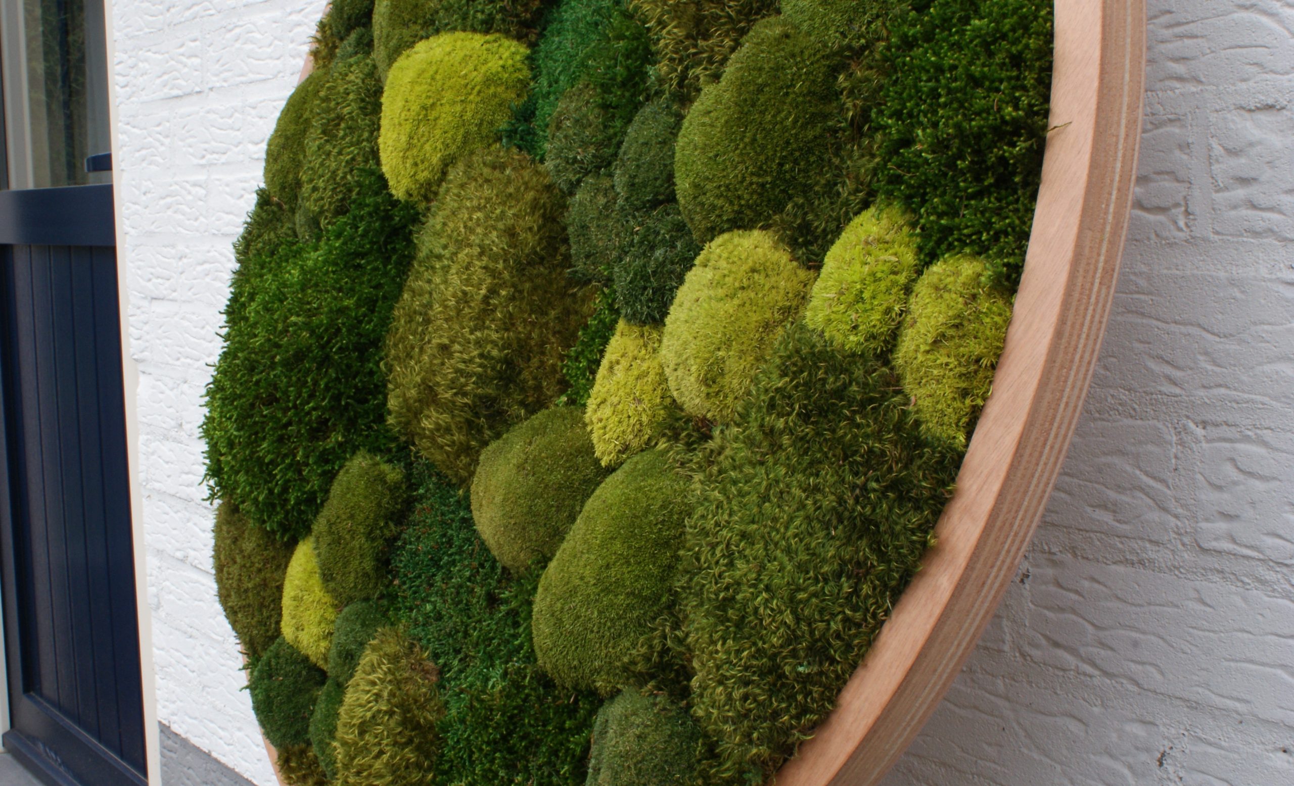 Green Giant: een rond kunstwerk van mos van 90 cm met diverse groentinten en natuurlijke texturen.