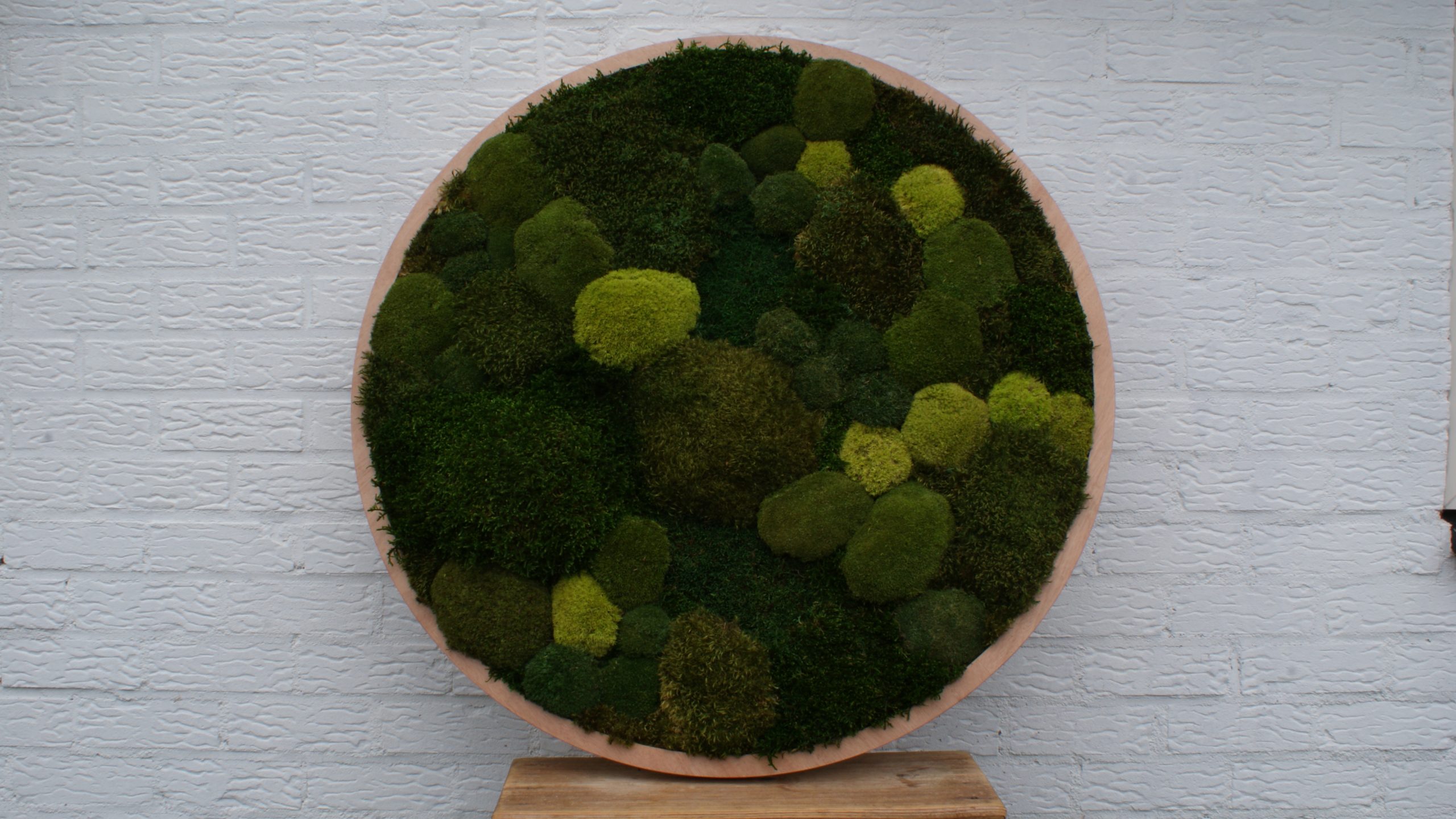 Green Giant - Afbeelding 6