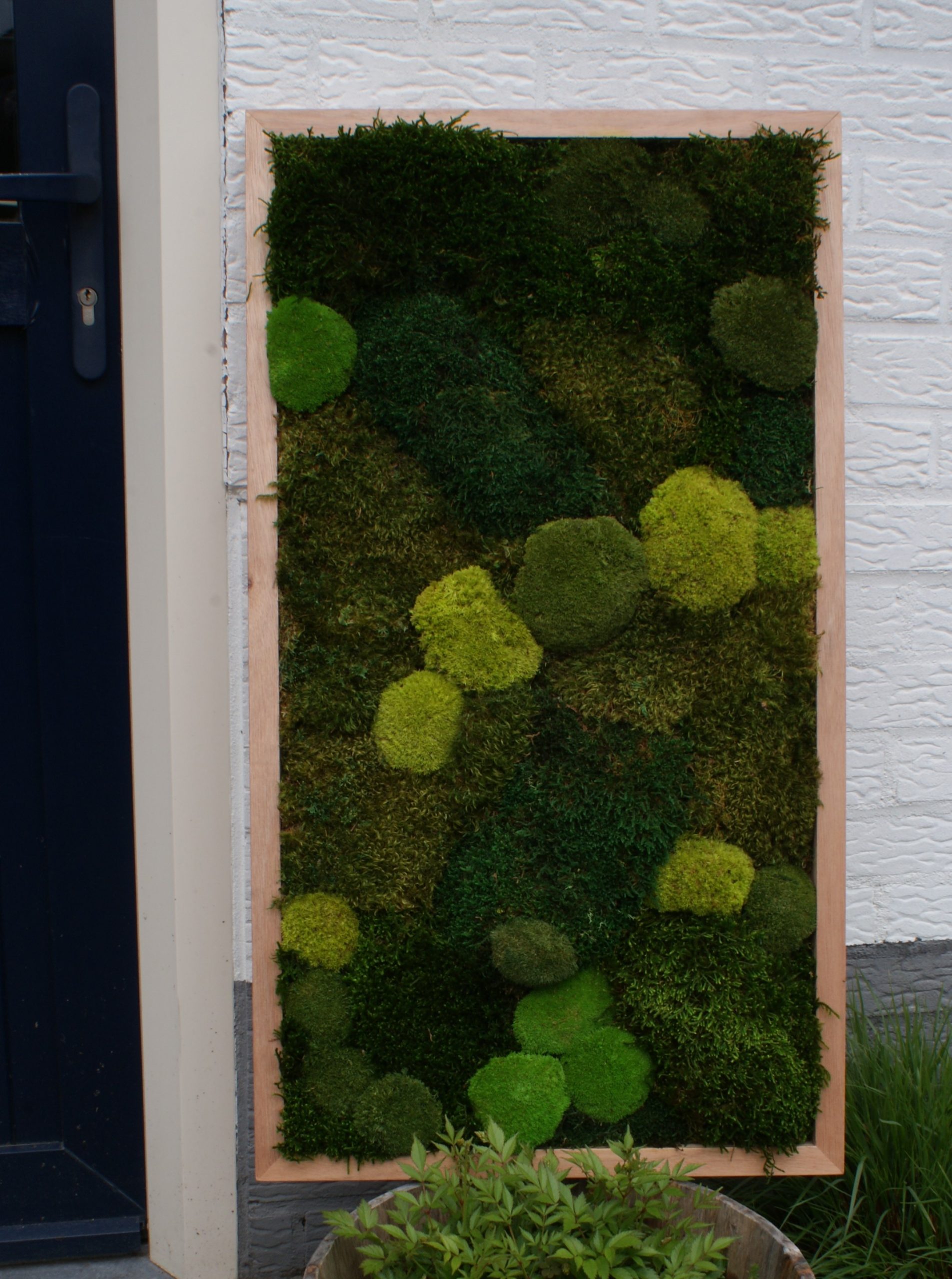 The Green Path - Afbeelding 2