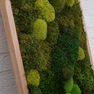 Kunstwerk van mos met handgemaakte lijst en met diverse soorten mos in groentinten.
