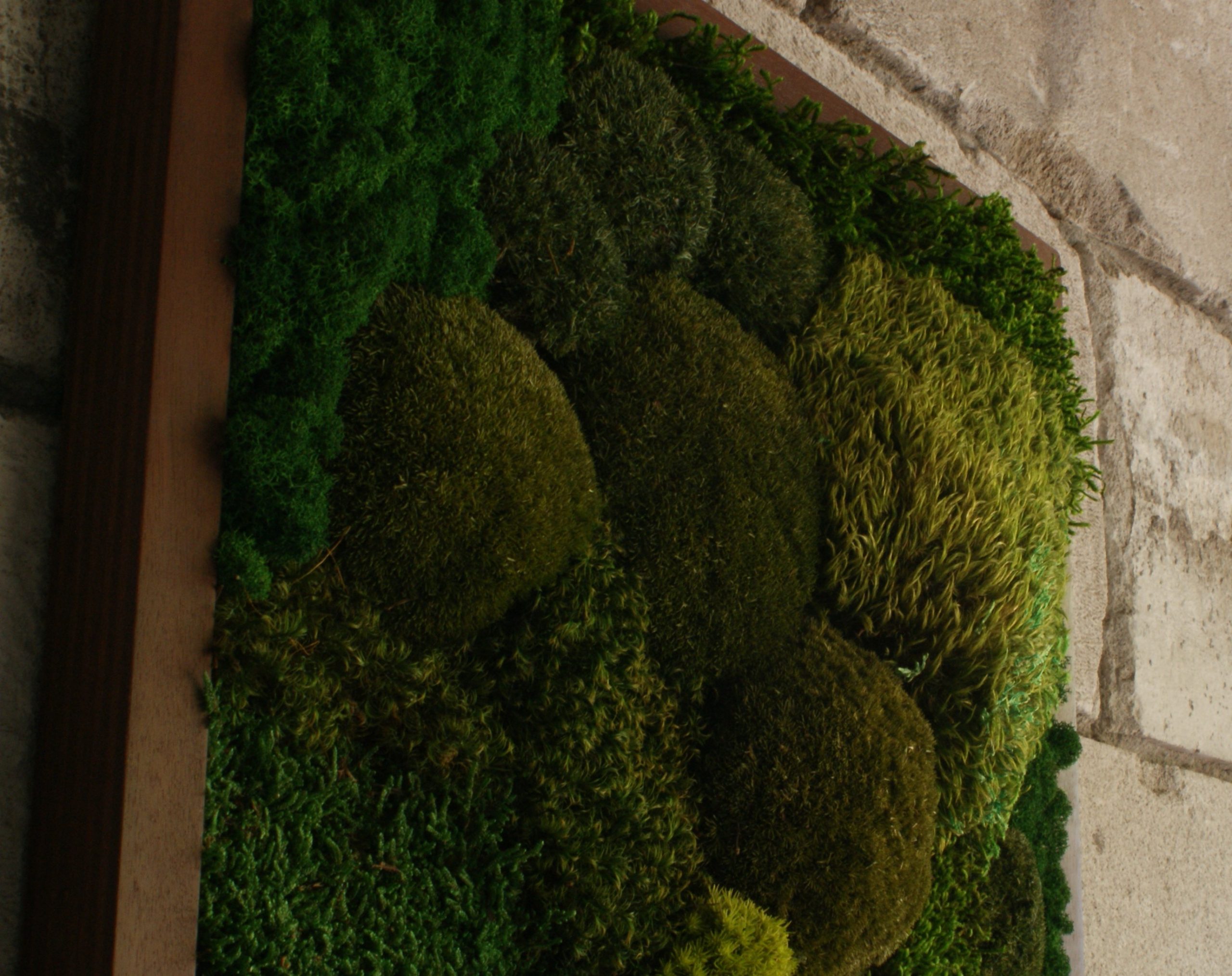 Whispering Green - Afbeelding 4