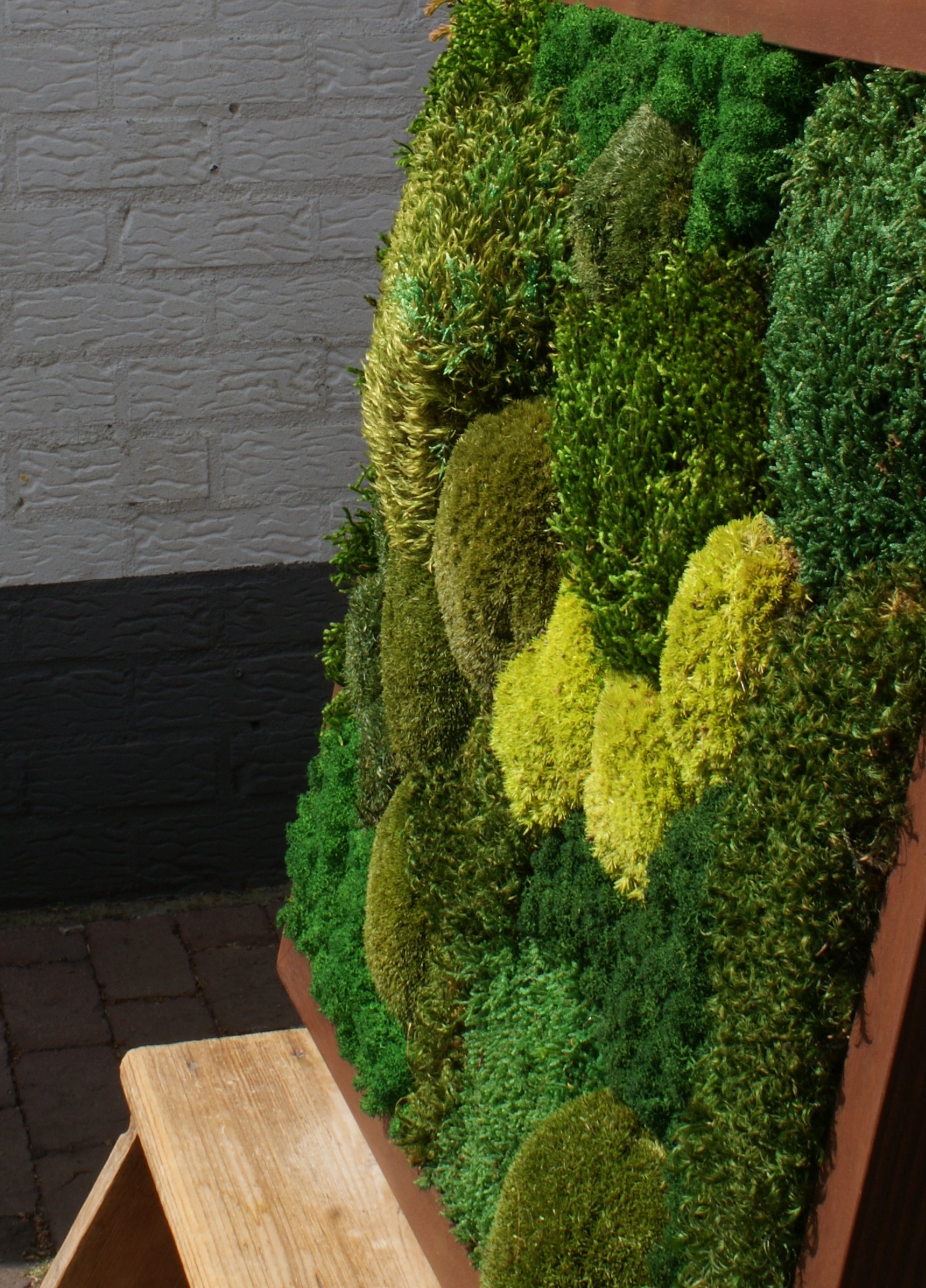 Whispering Green - Afbeelding 6