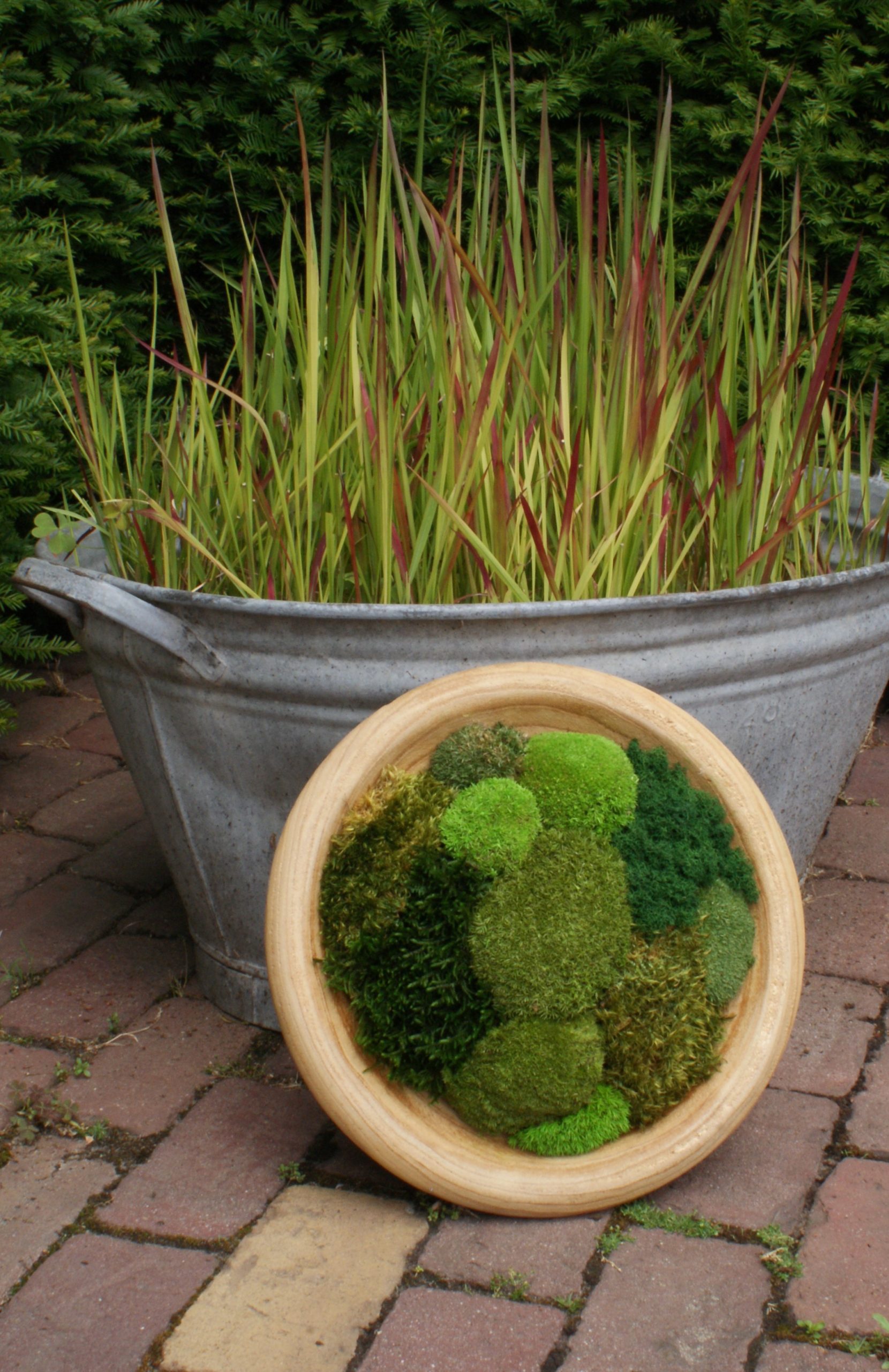 Moss Nest - Afbeelding 7