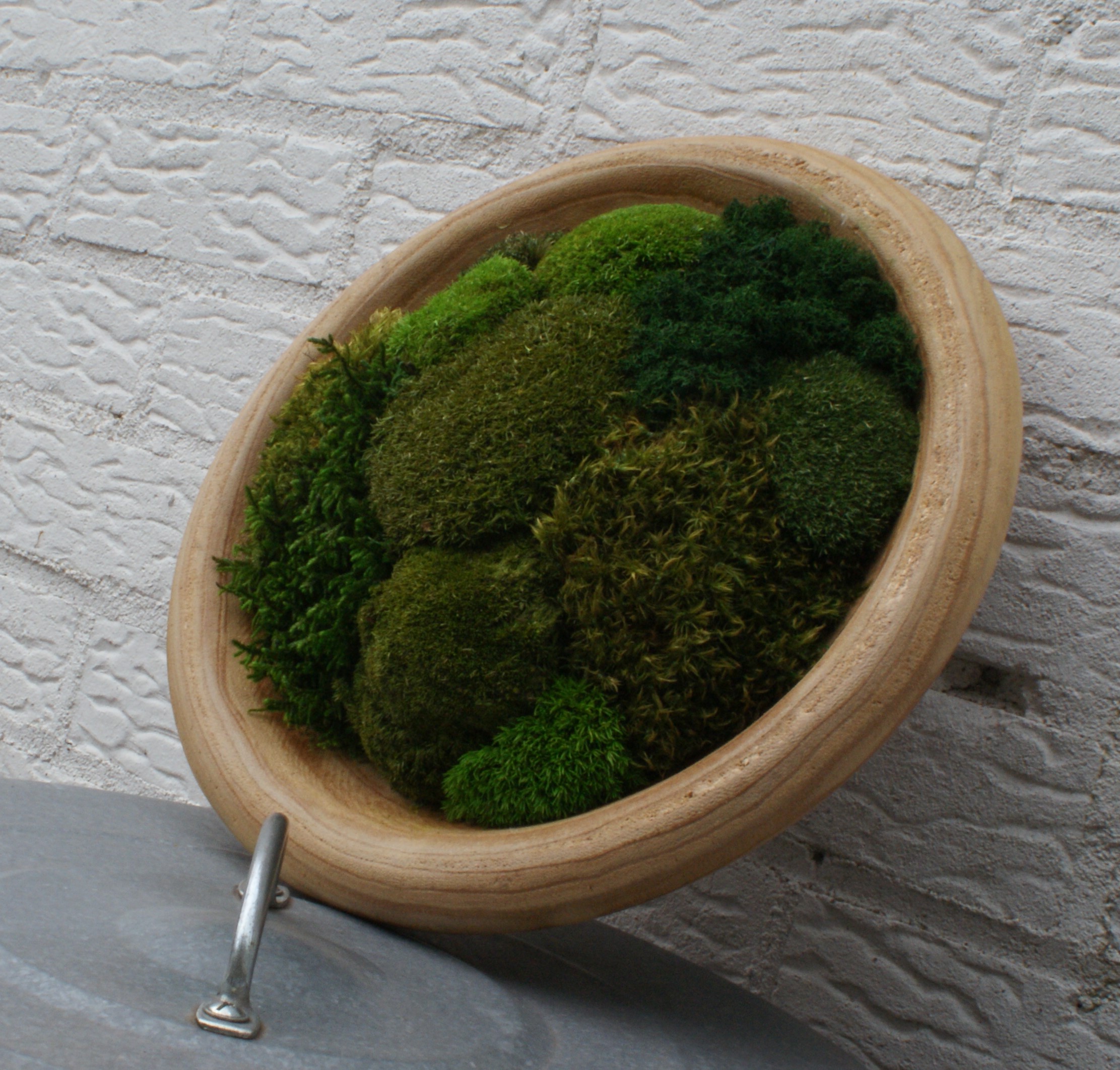 Moss Nest - Afbeelding 6