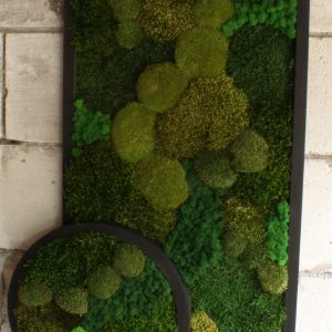 Kunstwerk van mos met rechthoekige lijst van 90x50 cm en ronde lijst van 40 cm, getiteld “Circle in Life”, handgemaakt met diverse soorten mos in groentinten.