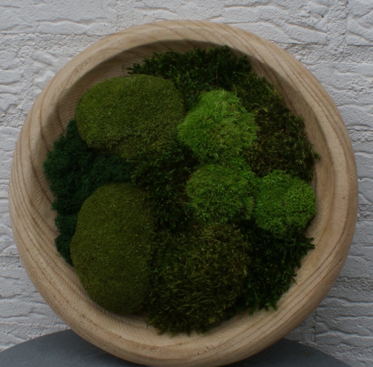 Moss Nest - Afbeelding 3