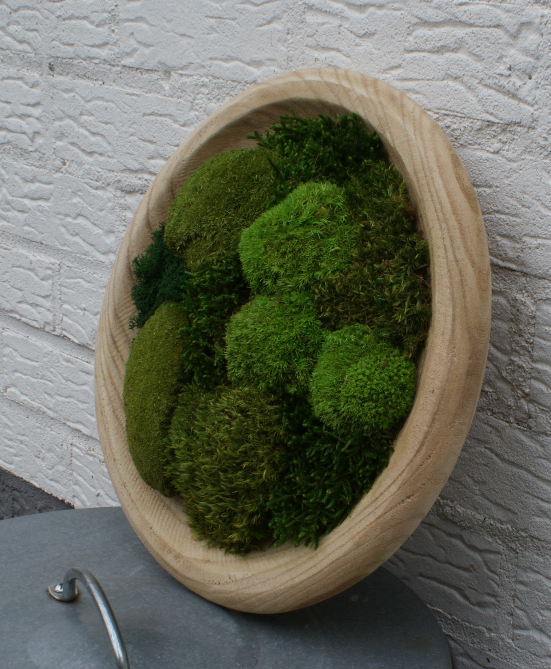 Moss Nest