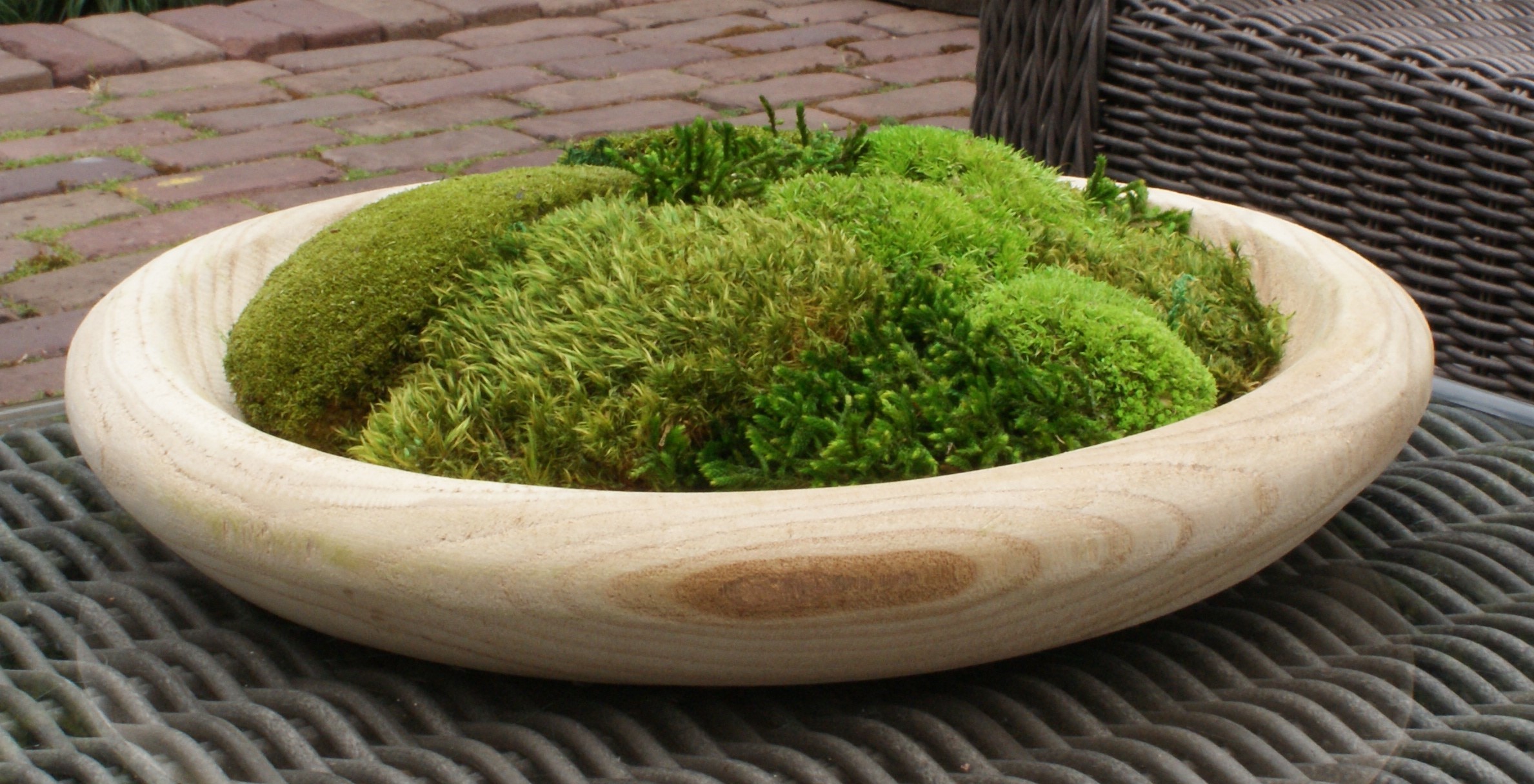Moss Nest - Afbeelding 7