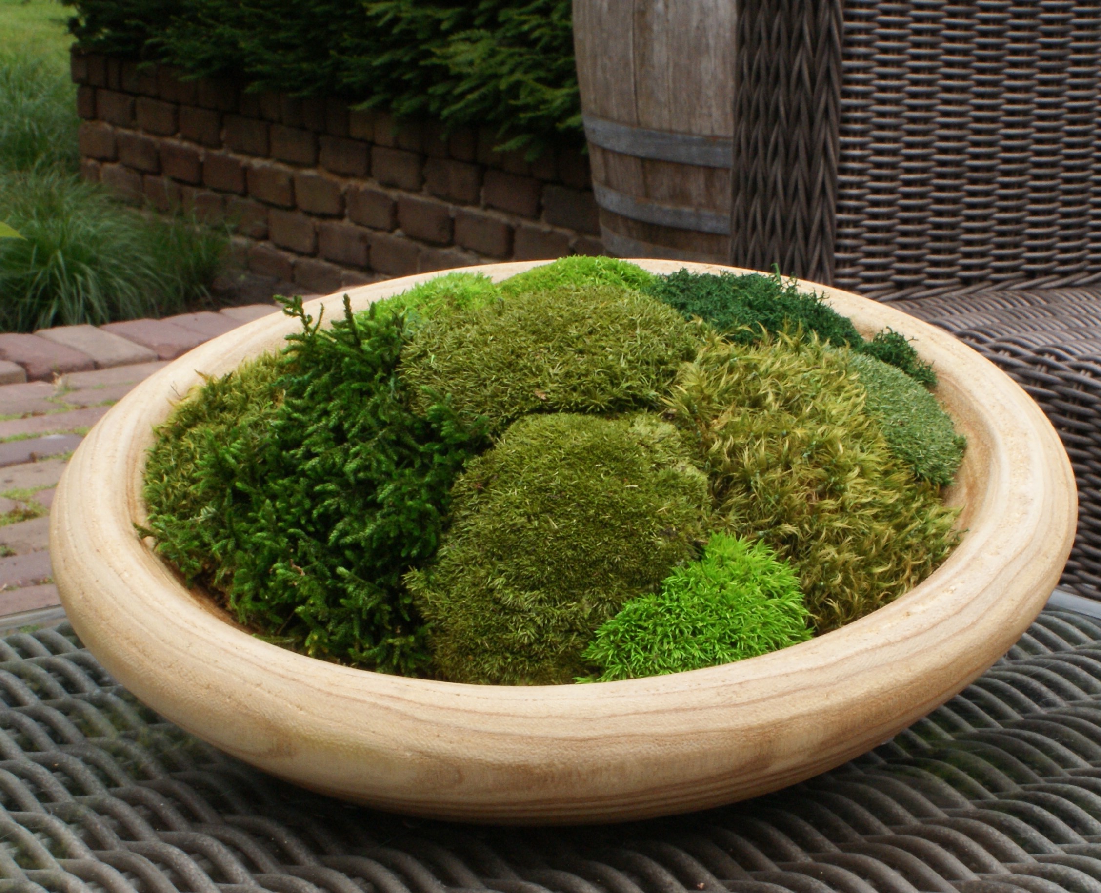 Moss Nest - Afbeelding 5