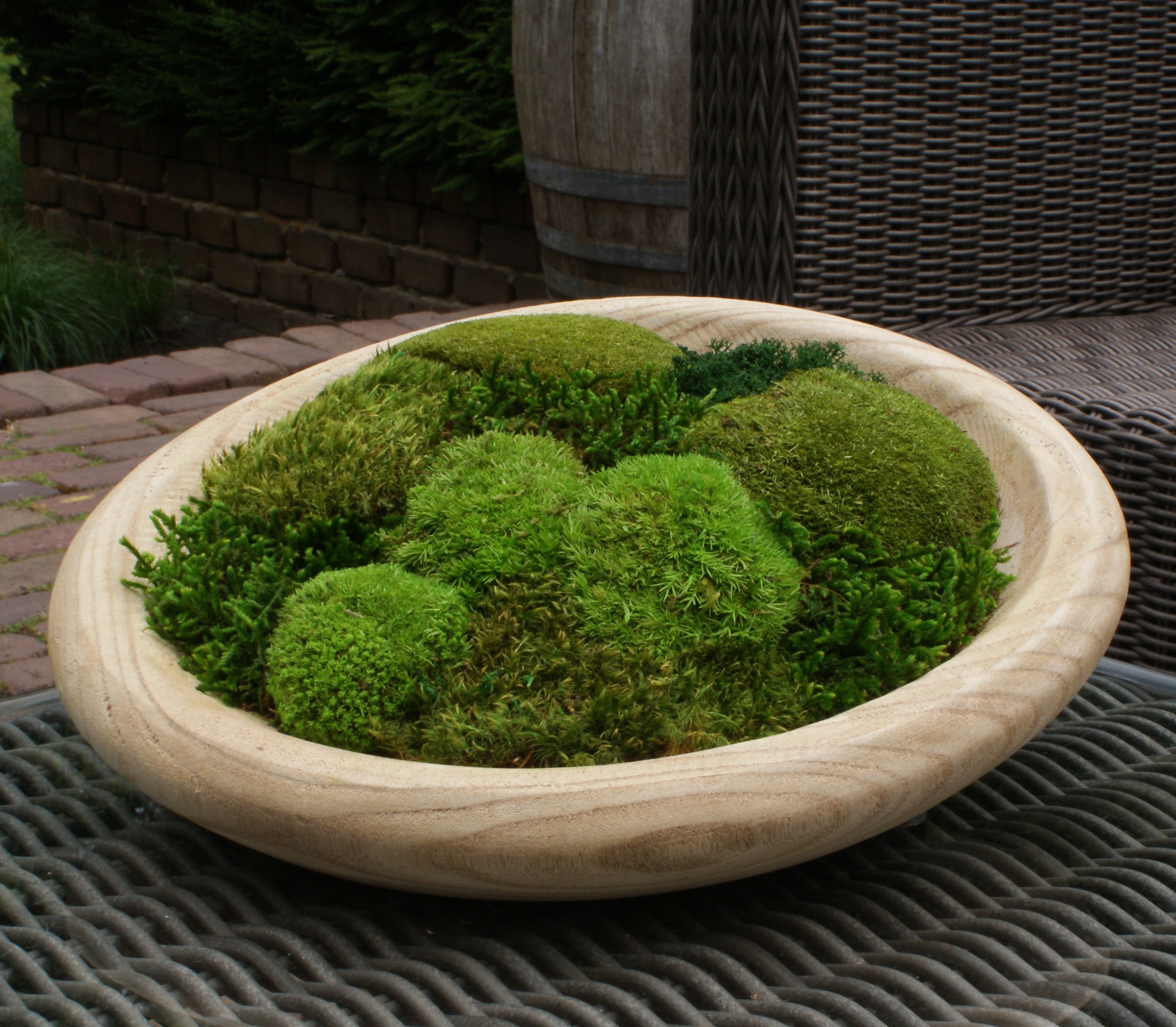 Moss Nest - Afbeelding 5