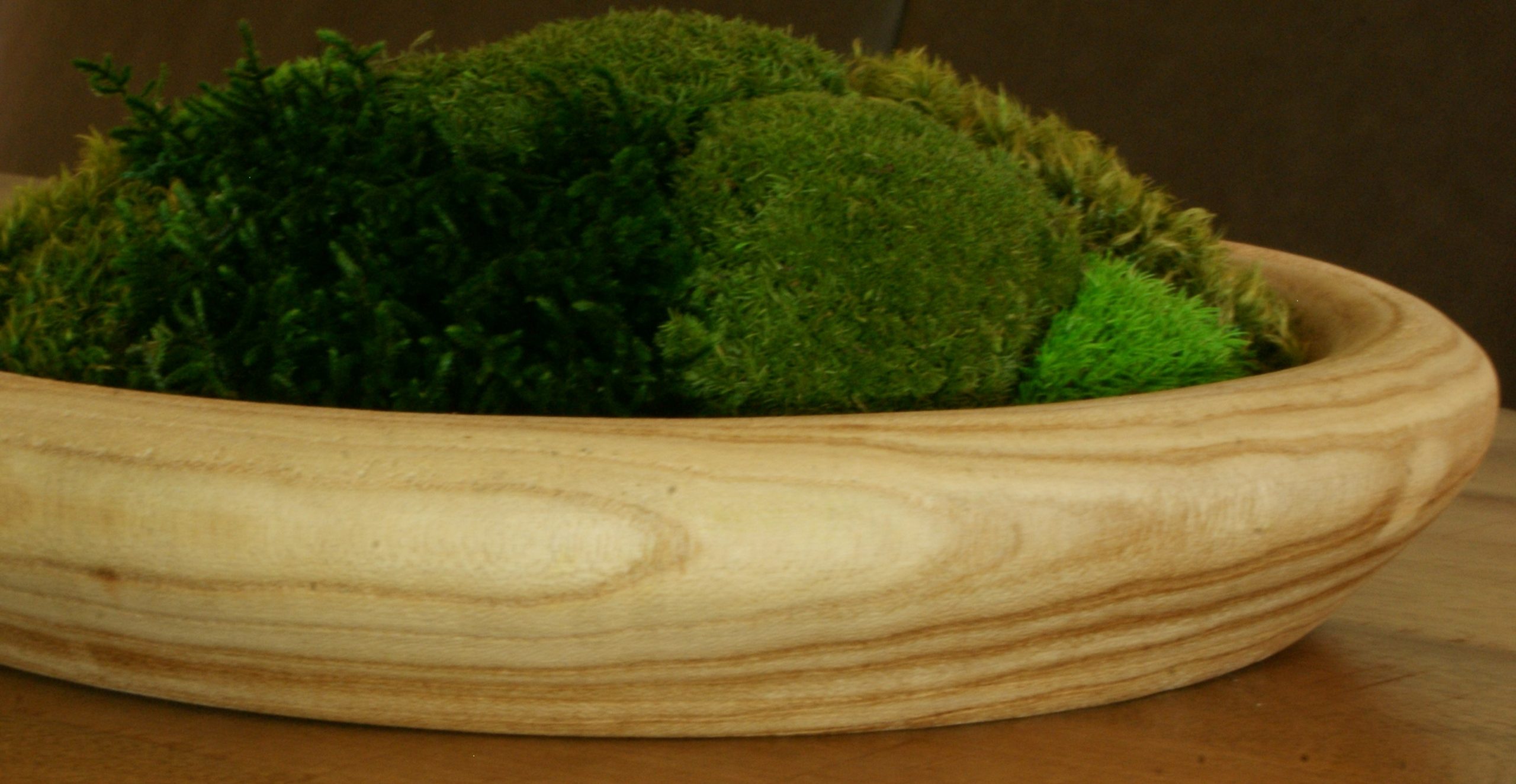 Moss Nest - Afbeelding 4