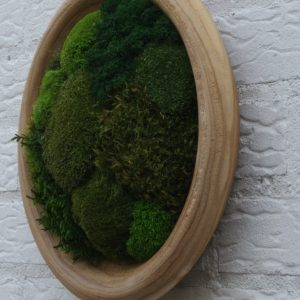 Houten schaal met handgemaakt kunstwerk van mos in verschillende groentinten, geschikt als muurdecoratie of woonaccessoire.